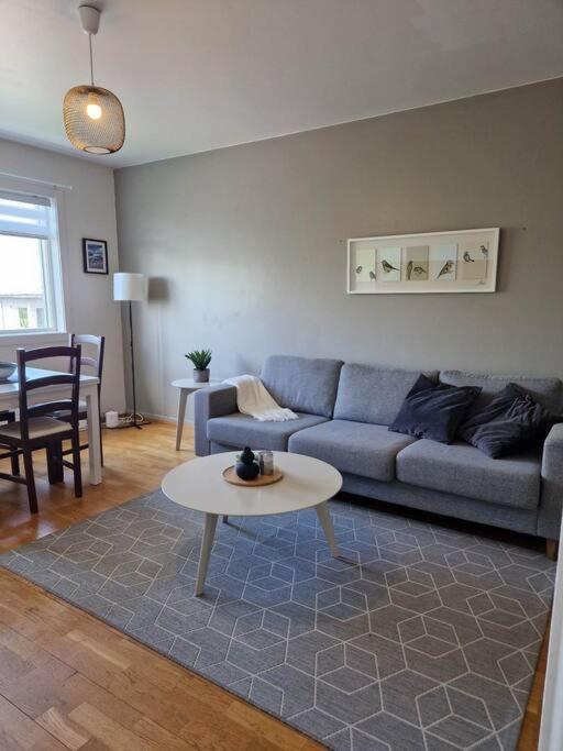 Apartment In Downtown Reykjavik Extérieur photo